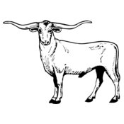 COW016