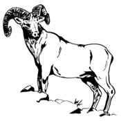 RAM013